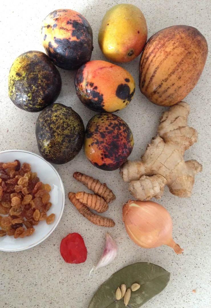 mangues bassignac, mangue julie, gingembre, curcuma, oignons, raisins, chutney piment