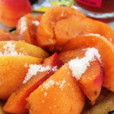 Les tartelettes aux abricots rien qu’aux abricots