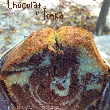 Le gâteau marbré chocolat et fève tonka