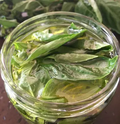 L’huile d’olive au basilic