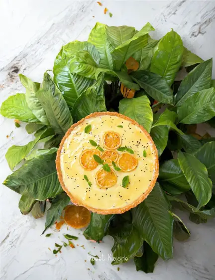 tarte citron sésame noir su fond feuillage